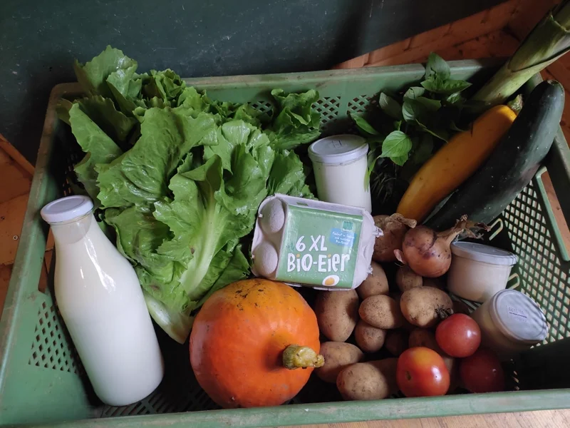 Erntekorb mit Gemüse, Milch und Eiern