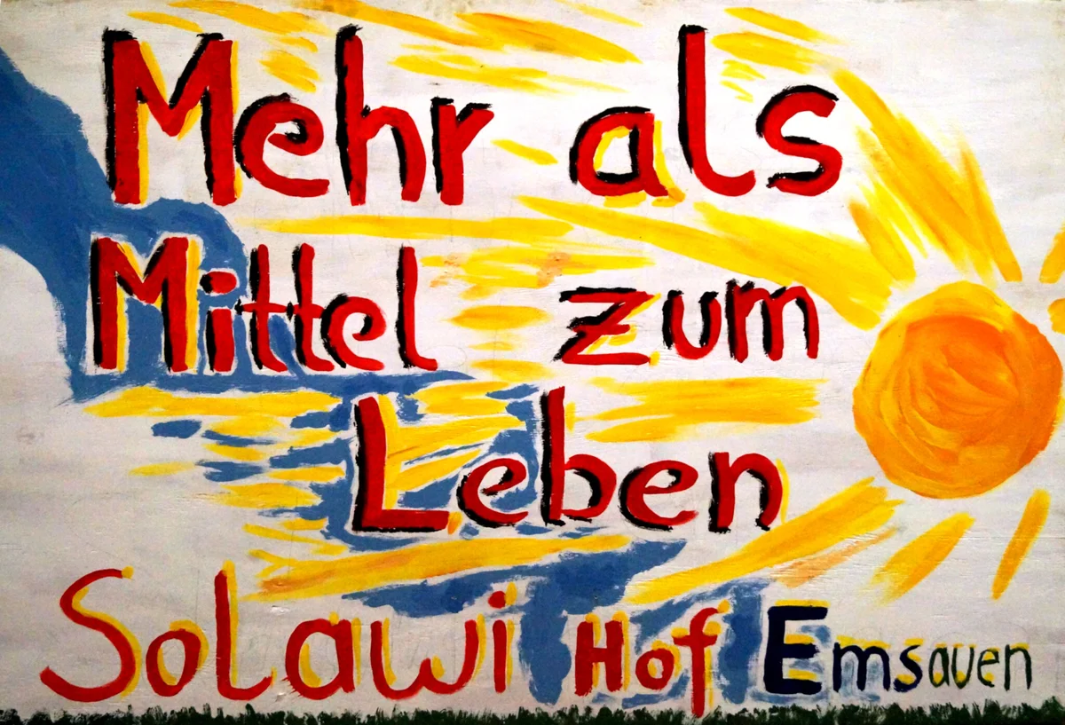 Frische Gemüseernte vom Hof EmsAuen